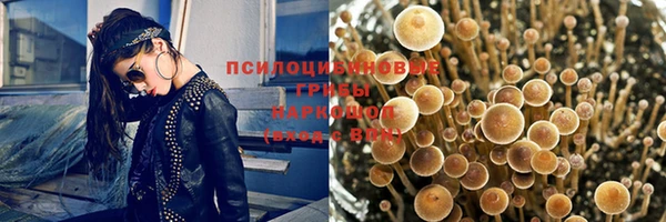 МДПВ Лиски