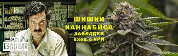МДПВ Лиски